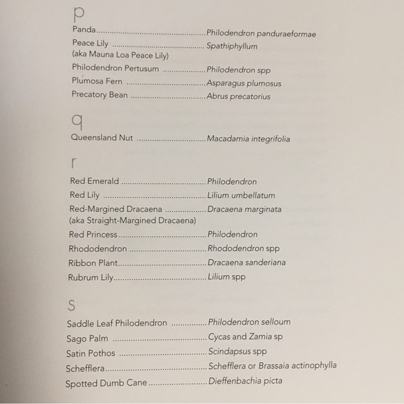 THE SAFE DOG HANDBOOK by Melodie  Monteiro spiral-bound hardback EUC - Picture 11 of 12